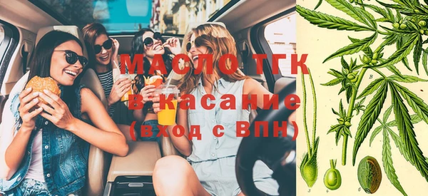 spice Богородицк