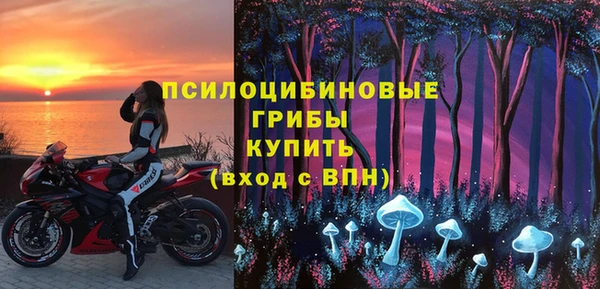spice Богородицк