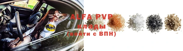 гашик Богданович