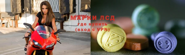 spice Богородицк