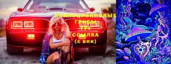 гашик Богданович