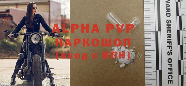гашик Богданович