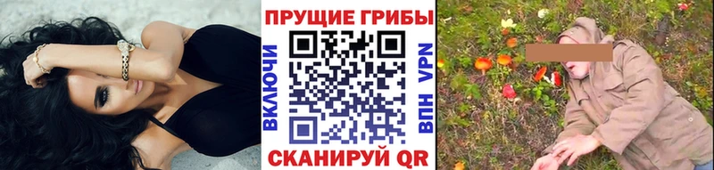 Галлюциногенные грибы мицелий  сколько стоит  Малоярославец 